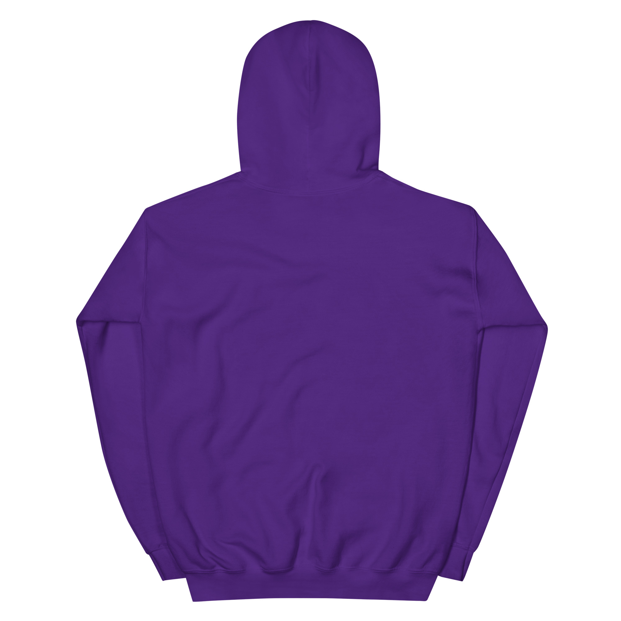 BORN TO STAND OUT NOT TO BLEND IN Unisex Hoodie - Image 10